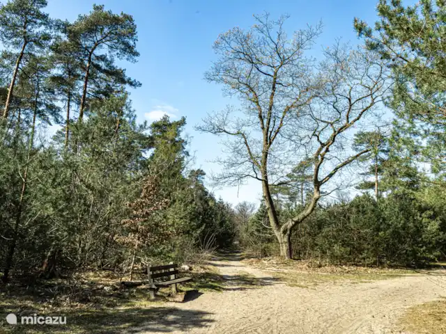 Location de Vacances Pays-Bas, Overijssel, Haarle, chalet - Trèfle à quatre feuilles