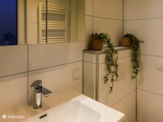 Location de Vacances Pays-Bas, Overijssel, Haarle, chalet - Trèfle à quatre feuilles salle de Bains