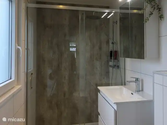 Location de Vacances Pays-Bas, Overijssel, Haarle, chalet - Trèfle à quatre feuilles Salle de bain avec douche à l’italienne