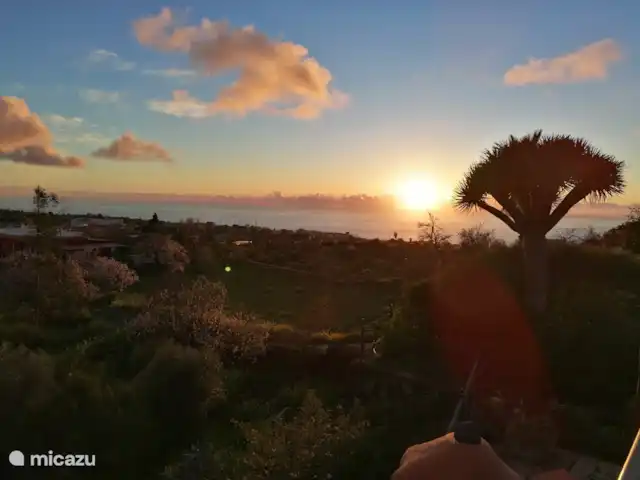 Wandelen, Spanje, La Palma, El Paso, gîte / cottage Hacienda La Centenaria Schemering