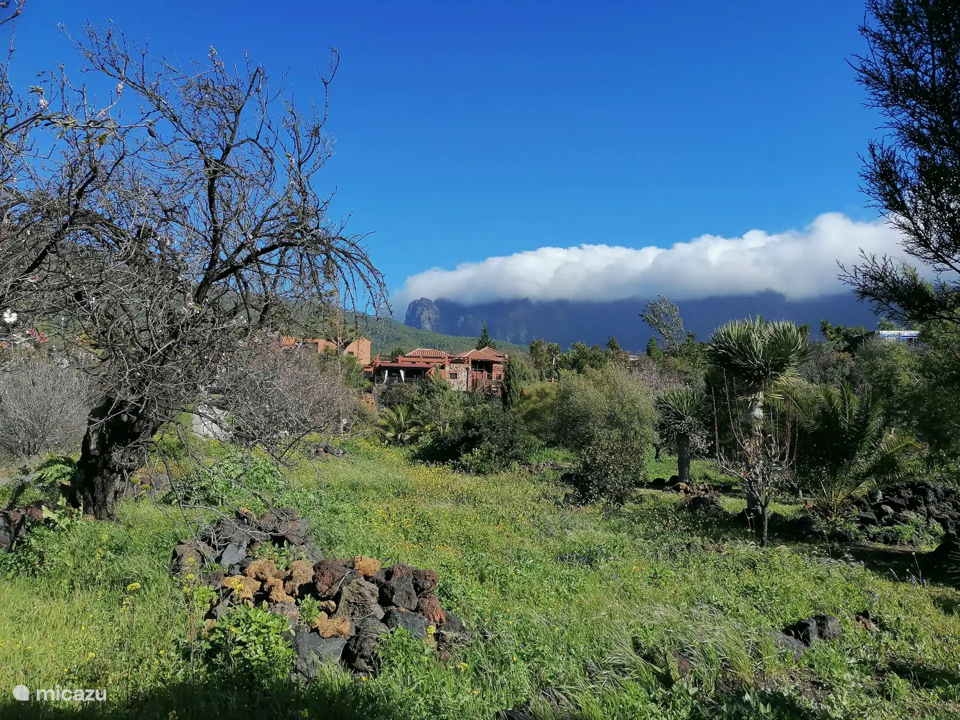 Cascasa de nube-Nationalpark Caldera de Taburiente
