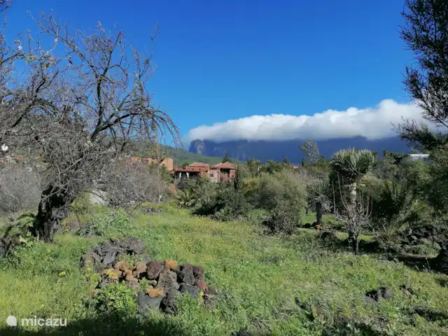 Wandelen, Spanje, La Palma, El Paso, gîte / cottage Hacienda La Centenaria Cascasa de nube-Nationaal Park La Caldera de Taburiente