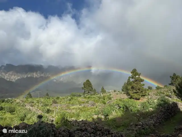 Wandelen, Spanje, La Palma, El Paso, gîte / cottage Hacienda La Centenaria Natuurpark