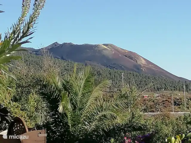 Wandelen, Spanje, La Palma, El Paso, gîte / cottage Hacienda La Centenaria Nieuwe Tajogaite vulkaan, uitbarsting september 2021, uitzicht vanuit het zwembad