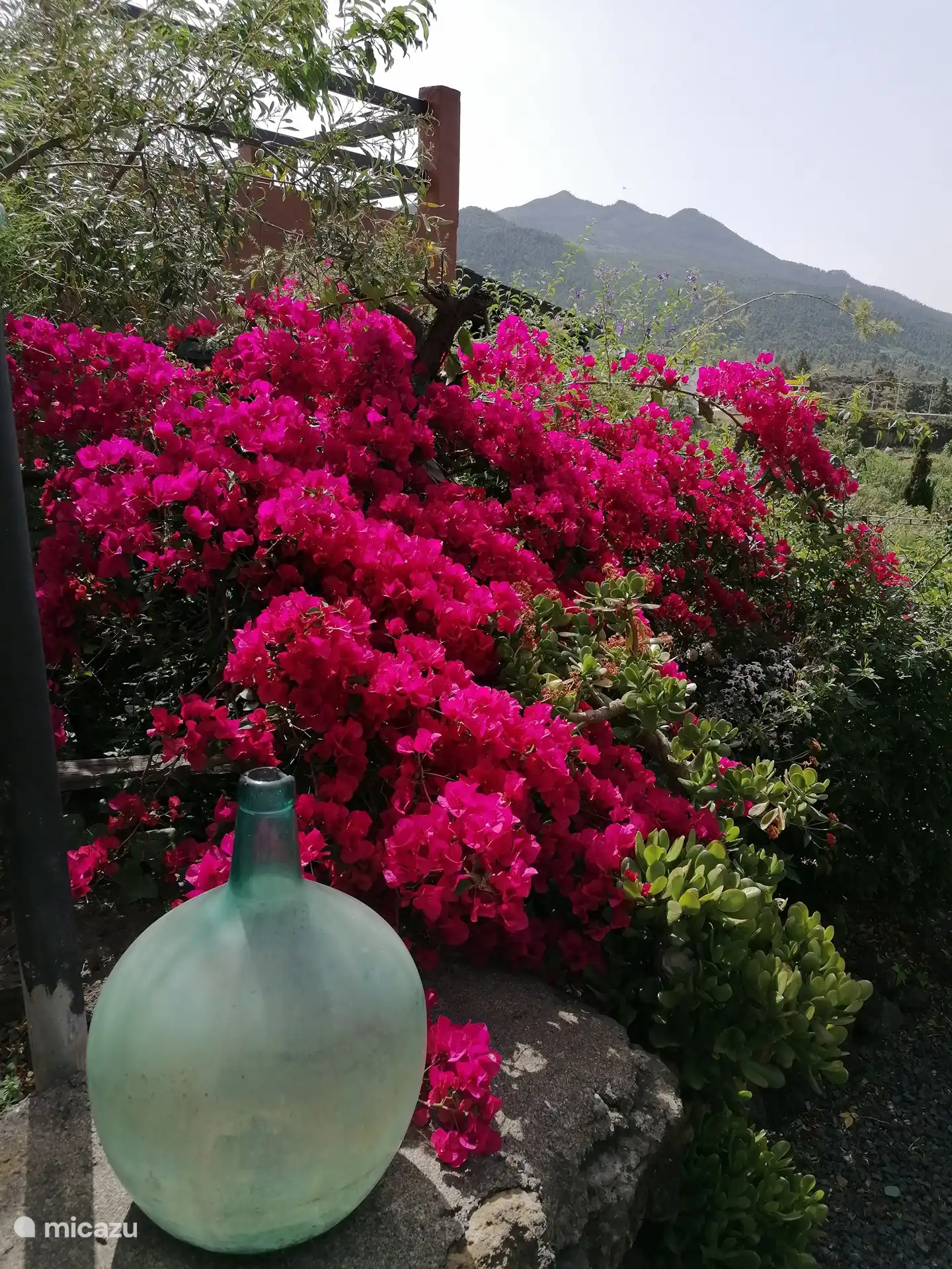 Blumen- und Vulkanecken