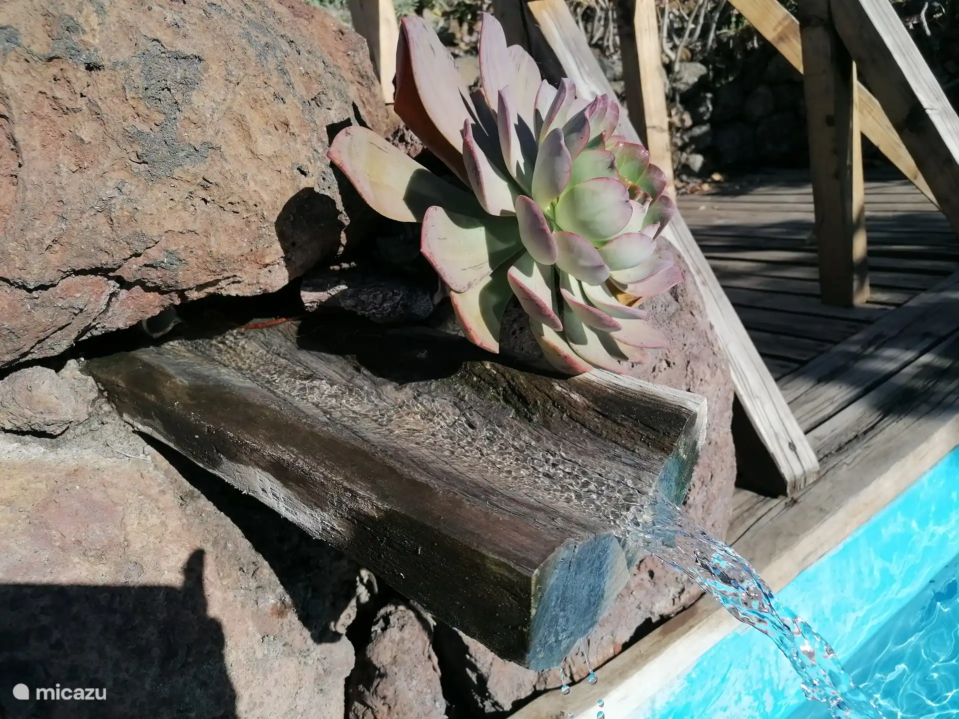 Natürliche Schönheit in jeder Ecke