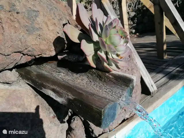 Wandelen, Spanje, La Palma, El Paso, gîte / cottage Hacienda La Centenaria Natuurschoon in elke hoek