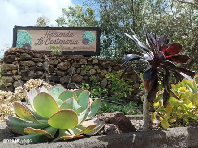 Wandelen, Spanje, La Palma, El Paso, gîte / cottage Hacienda La Centenaria Hoofdingang, welkom bij Hacienda la Centenaria