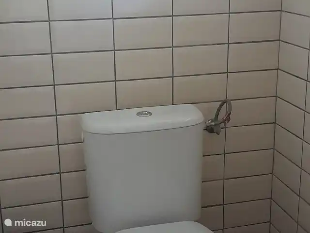 Zichovec Mexico huren in Tsjechië, Zuid-Bohemen, Strunkovice nad Blanicí - geschakelde woning Toilet  in de hal