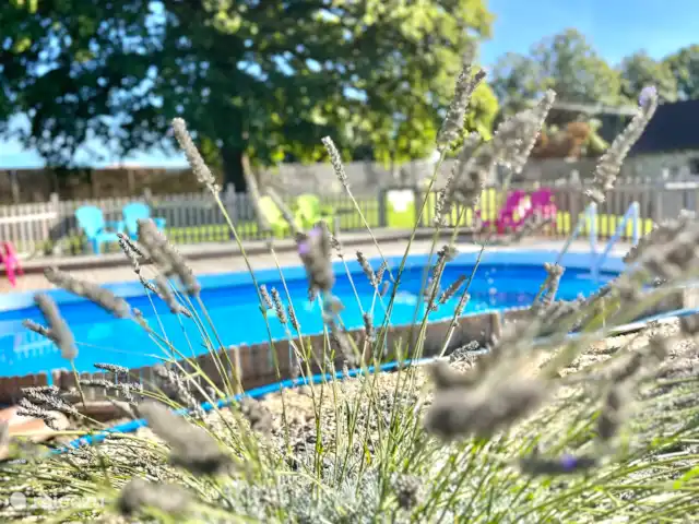 Maison CouCou 1 | France, Dordogne, Jumilhac-le-Grand - gîte / cottage La piscine entièrement clôturée dédiée exclusivement à nos propres clients.