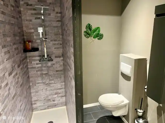 Maison CouCou 4 | France, Dordogne, Jumilhac-le-Grand - gîte / cottage La salle de bain dispose d’une douche à l’italienne, de toilettes, d’un lavabo, d’un sèche-cheveux et d’un placard à colonnes.