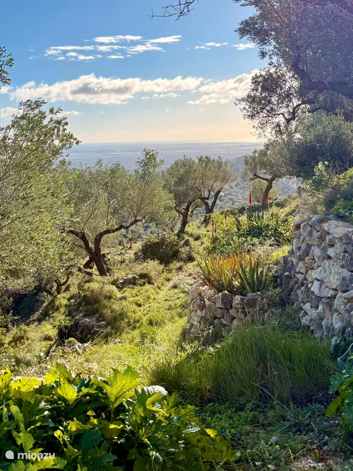 le verger depuis le studio, surplombant le delta de l’Èbre et si vous regardez de près la mer