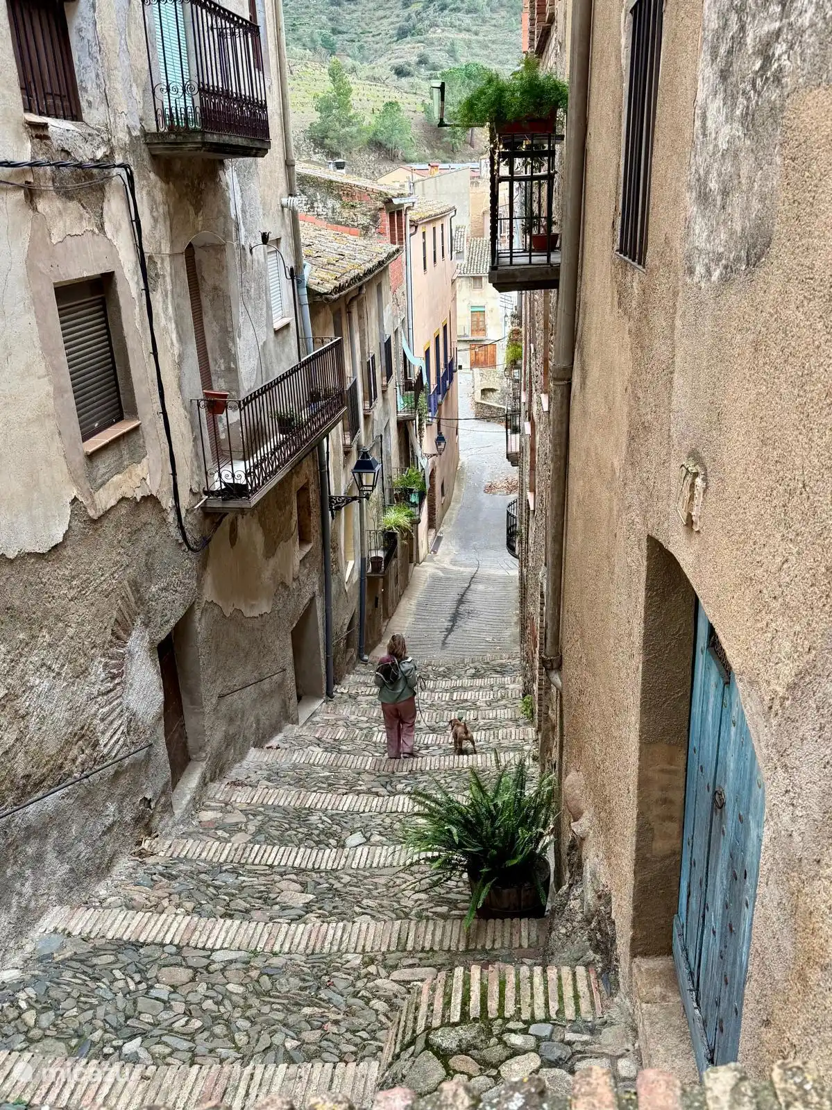 villes pittoresques de Terra Alta et du Priorat, pour lesquelles nous vous donnons des conseils sur la carte incluse avec tous nos favoris