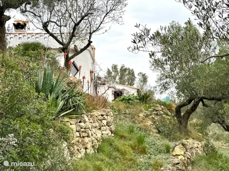 Casa Tortosa | Espagne, Catalogne, El Perelló	 - Finca Casa Tortosa | Espagne, Catalogne, El Perelló	 - Finca
