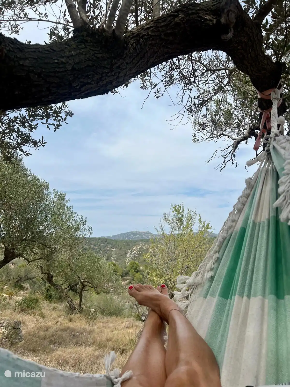 Farniente dans un hamac. Nous en avons plusieurs prêts pour vous.