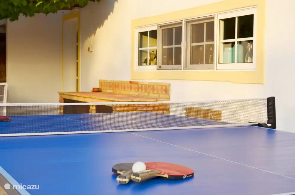 Tambi&#233;n disponemos de una mesa de ping-pong