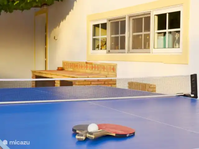 Casa Mealha huren in Portugal, Algarve, Boliqueime - villa We hebben ook een tafeltennistafel
