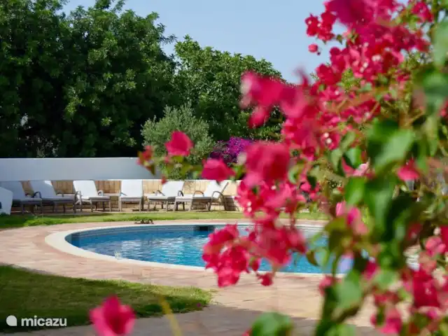 Casa Mealha huren in Portugal, Algarve, Boliqueime - villa Achtertuin