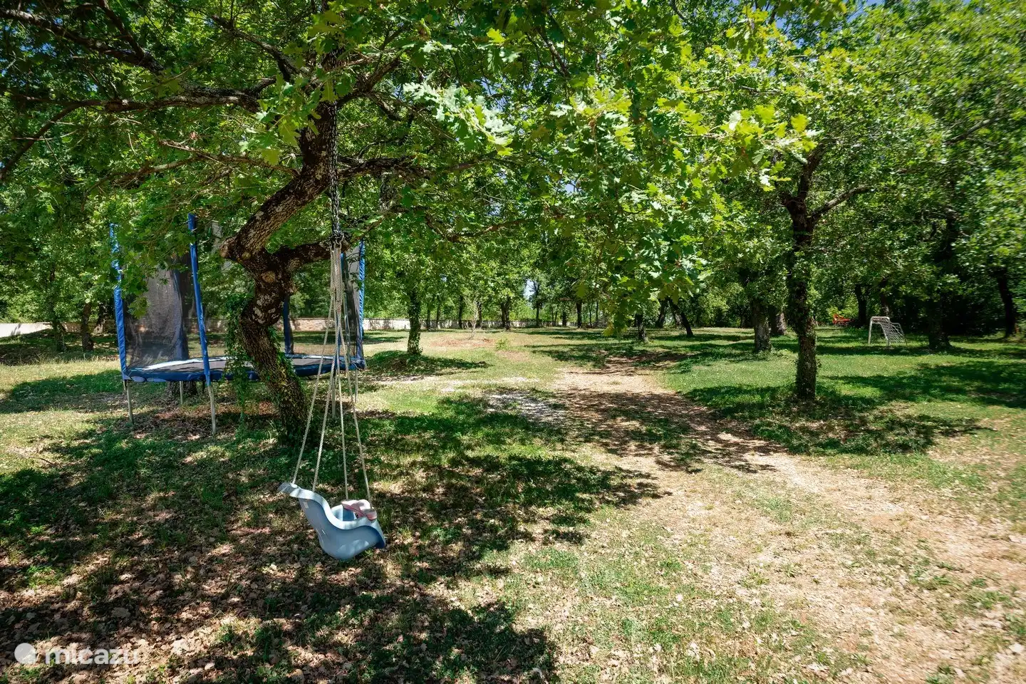 jardin avec balançoire