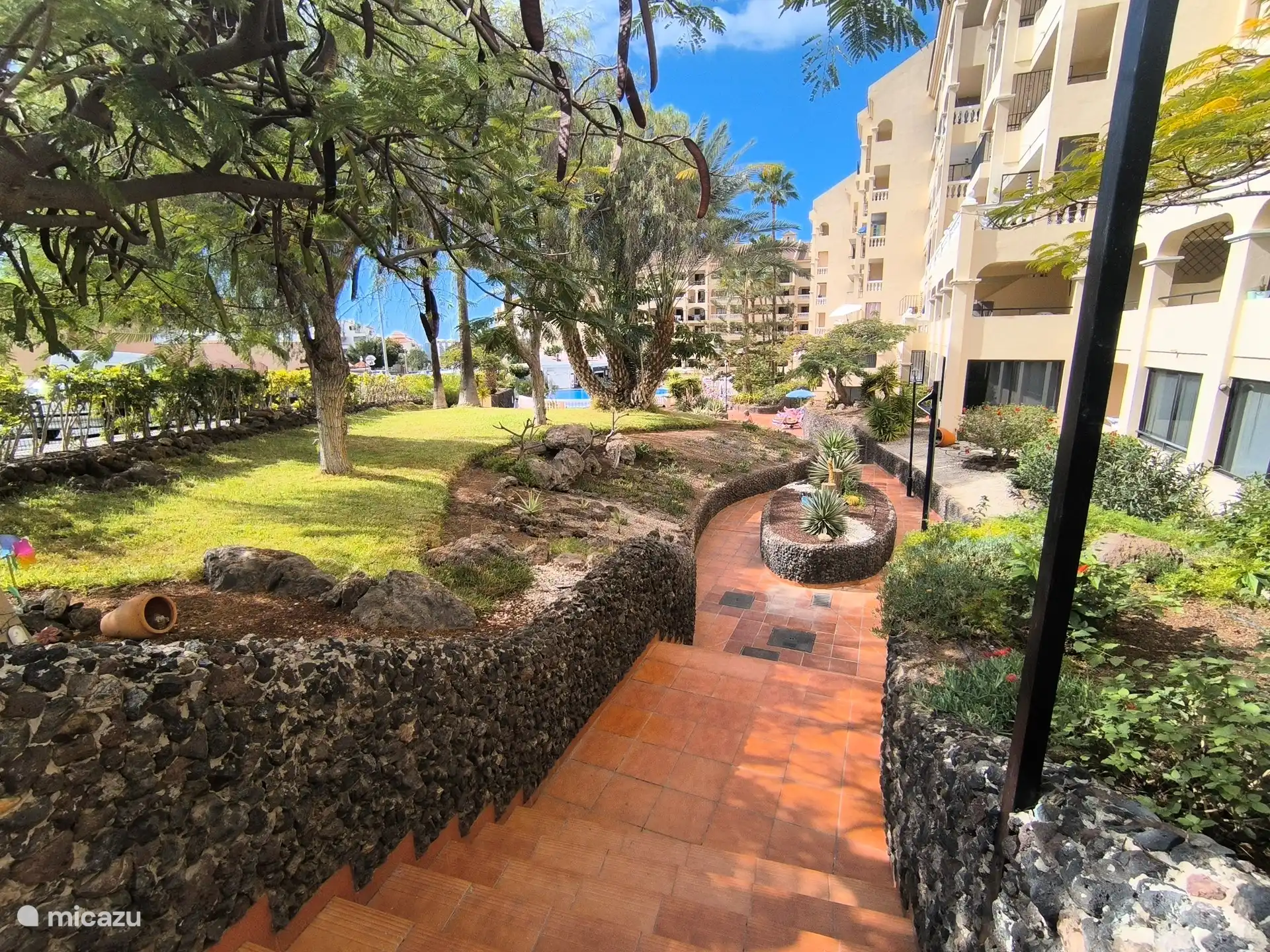 Castle Harbour in Spain, Tenerife, Los Cristianos - studio