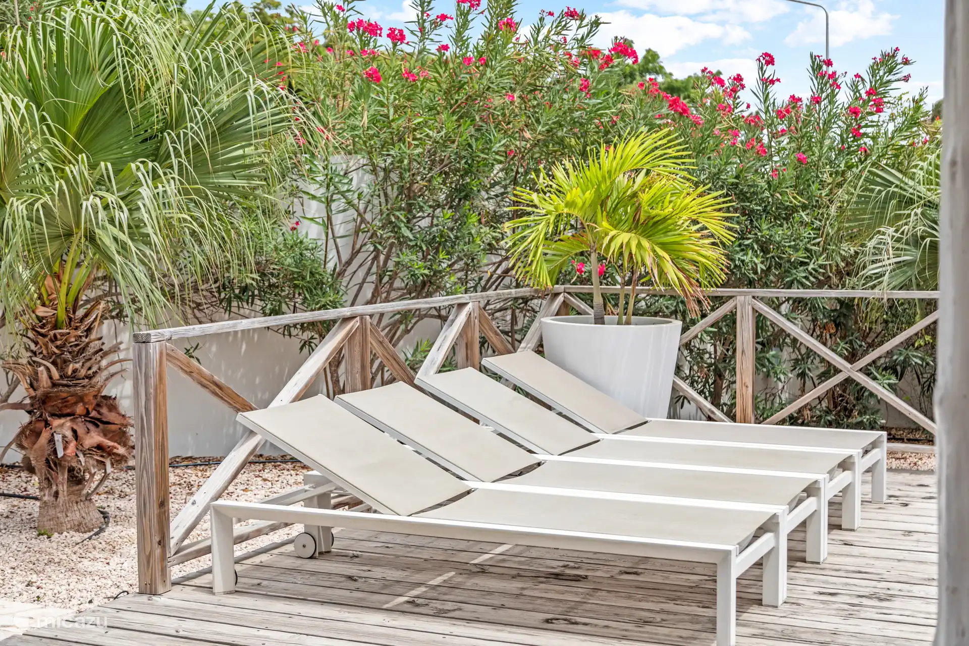 Comfortabele zonnebedden