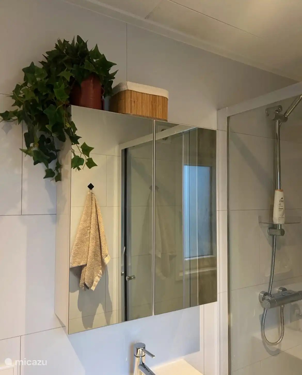 Miroir avec espace de rangement disponible dans la salle de bain. 