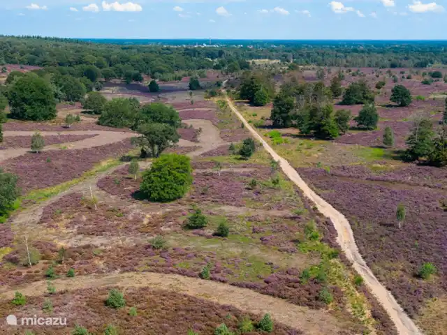 Cabaña forestal Casa Kuin en Países Bajos, Overijssel, Haarle - chalet