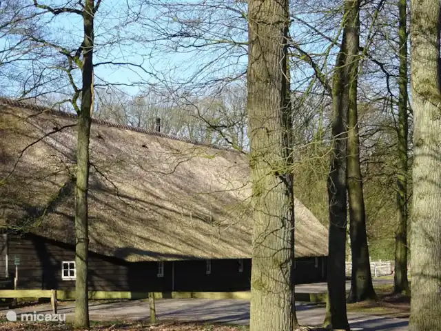 Cabaña forestal Casa Kuin en Países Bajos, Overijssel, Haarle - chalet