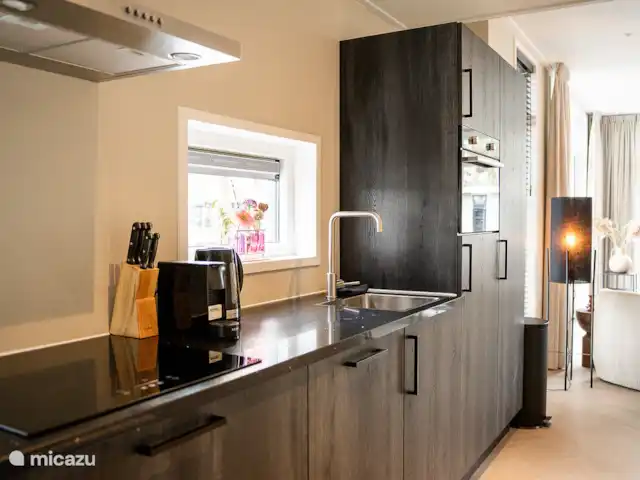 Cabaña forestal Casa Kuin en Países Bajos, Overijssel, Haarle - chalet Cocina totalmente equipada con multitud de accesorios.