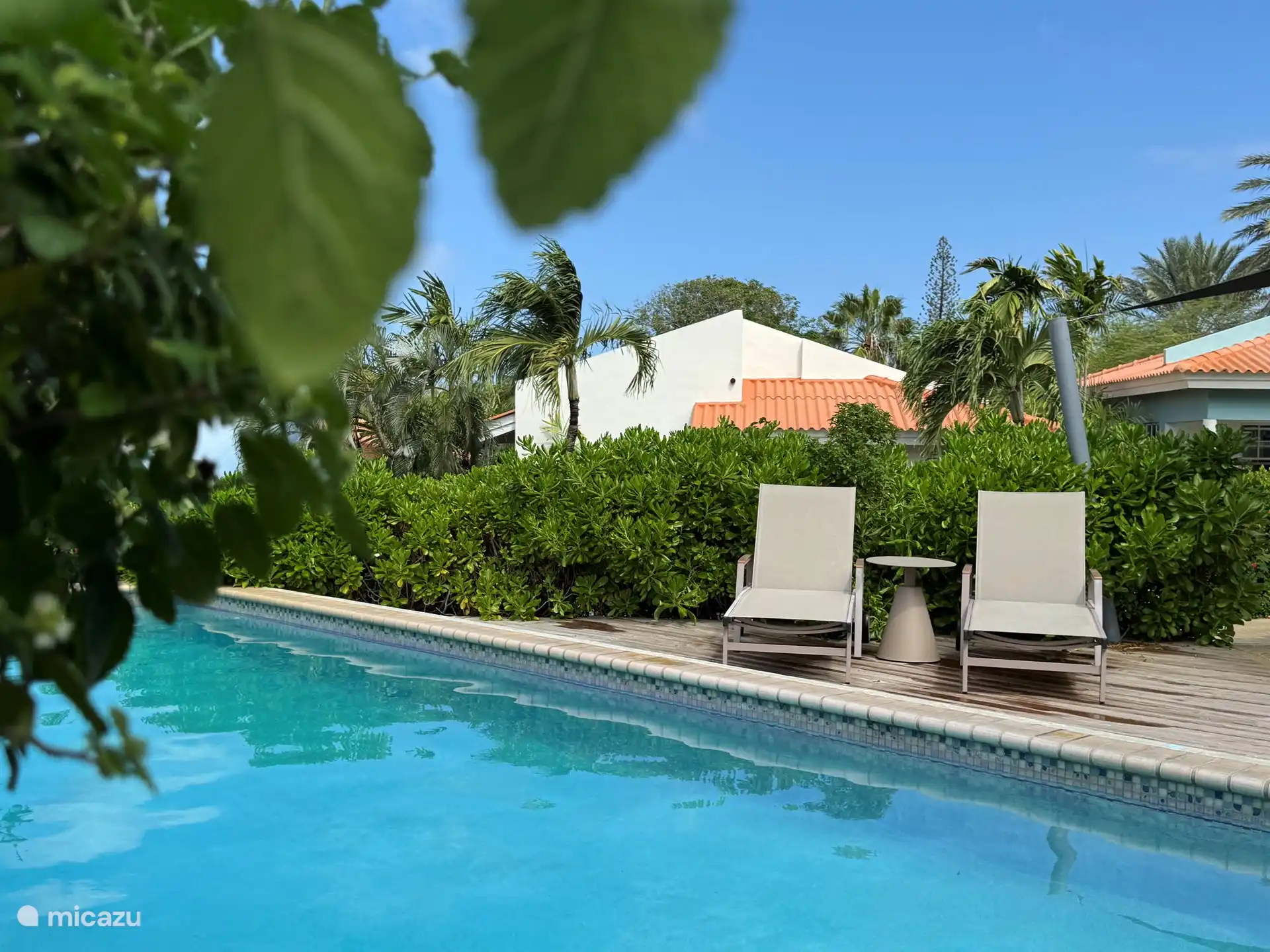 Piscine partagée avec transats et en arrière-plan notre gîte. 