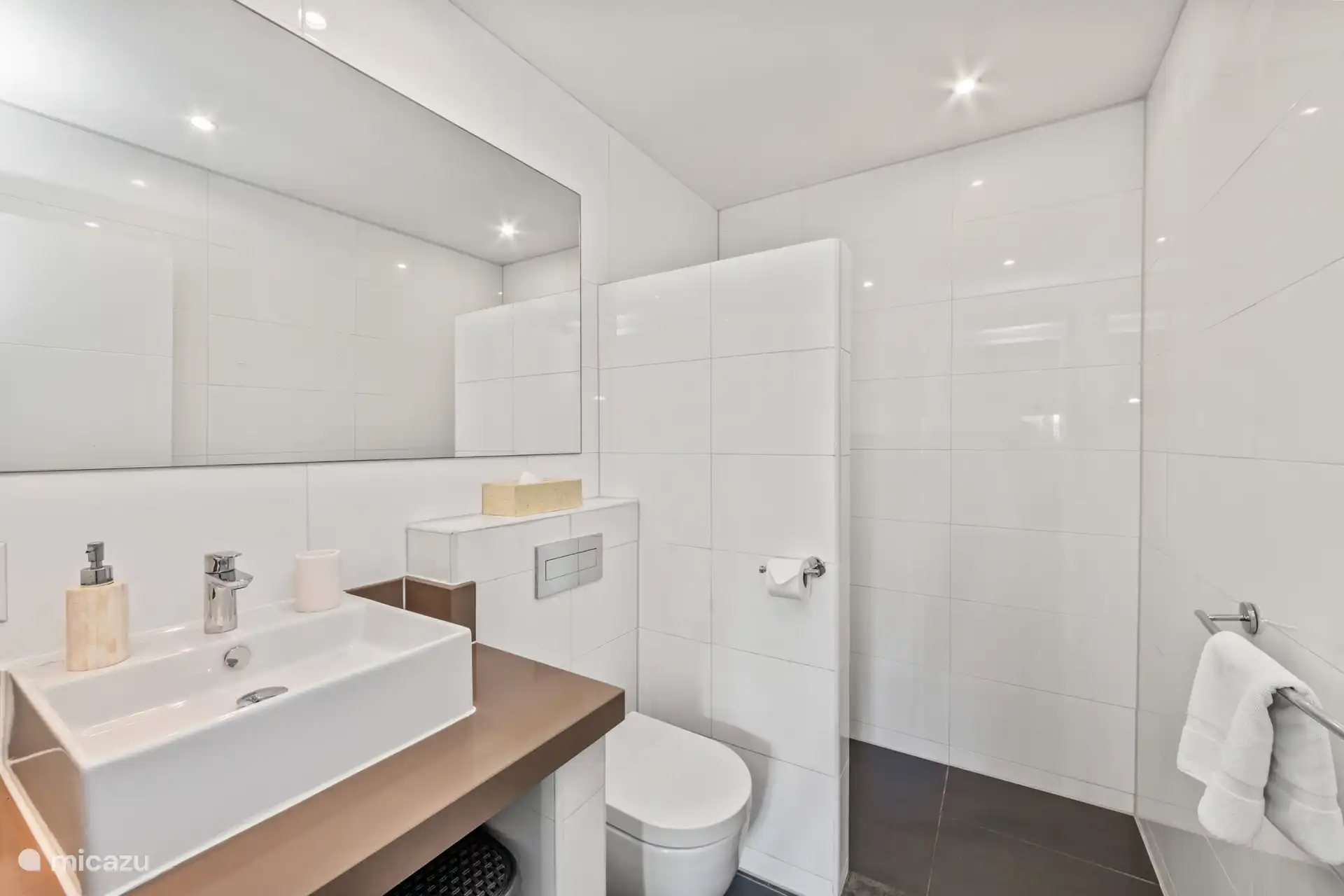 Badezimmer mit Dusche, WC und Waschbecken.