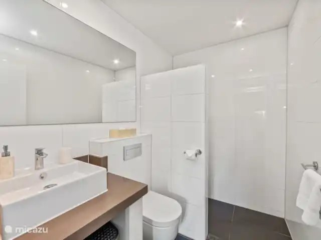 Villa Solaya 2, Jan Thiel huren in Curaçao, Banda Ariba (oost), Jan Thiel - villa Badkamer met douche, toilet en wastafel.
