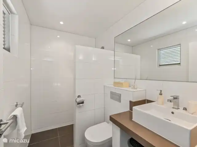 Villa Solaya 2, Jan Thiel huren in Curaçao, Banda Ariba (oost), Jan Thiel - villa Badkamer met douche, toilet en wastafel.