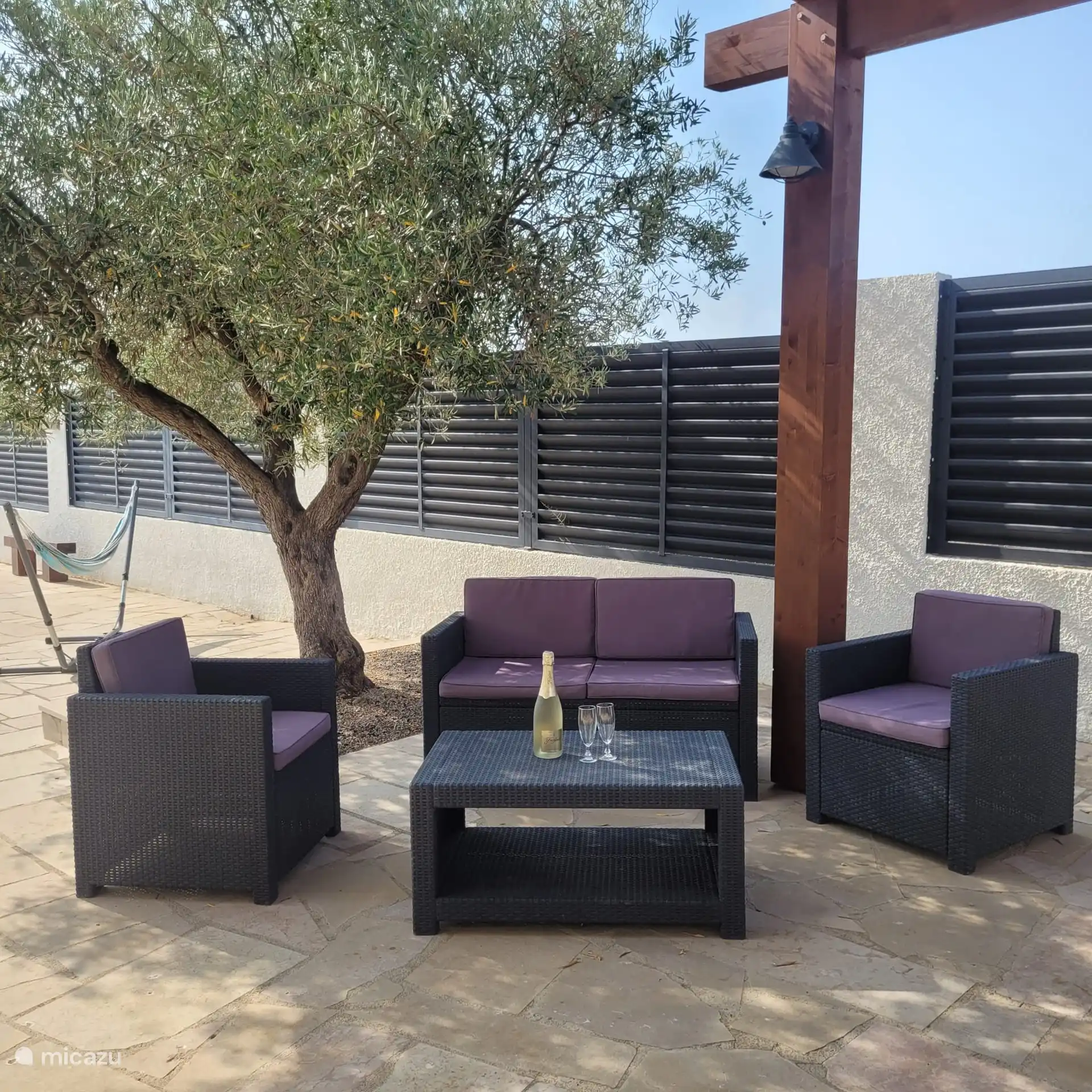 Entspannen Sie sich unter einem Olivenbaum