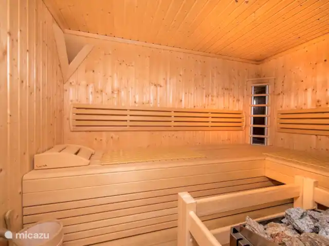 Profitez de Saalbach Top E2 | Autriche, Salzburgerland, Saalbach - appartement Le sauna privé.