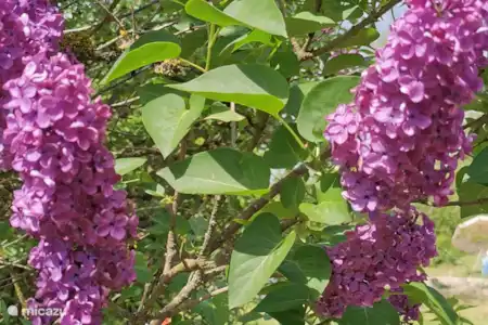 Nuestras casas rurales