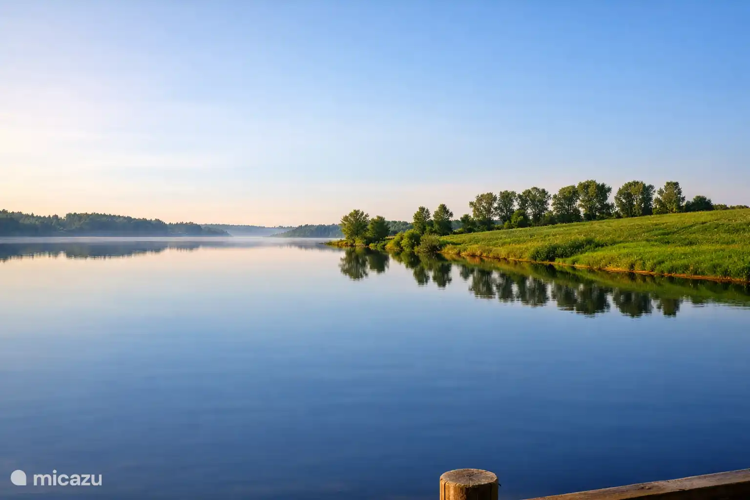 Vele vis mogelijkheden