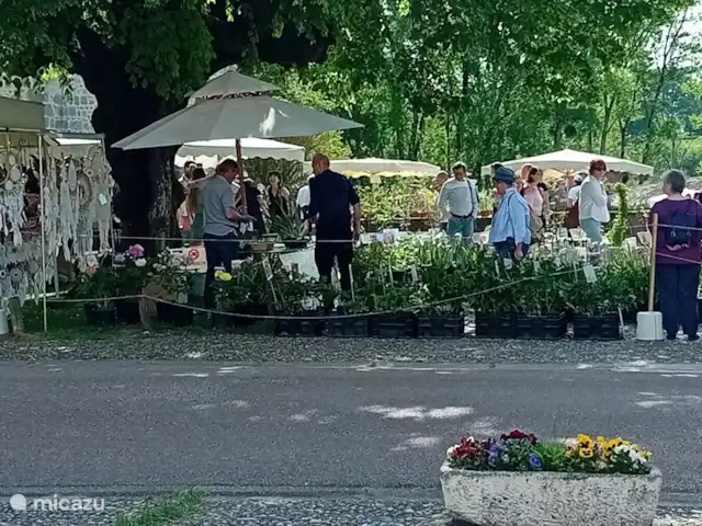 Confolens | France, Charente, Chirac - gîte / cottage Marché aux fleurs en mai