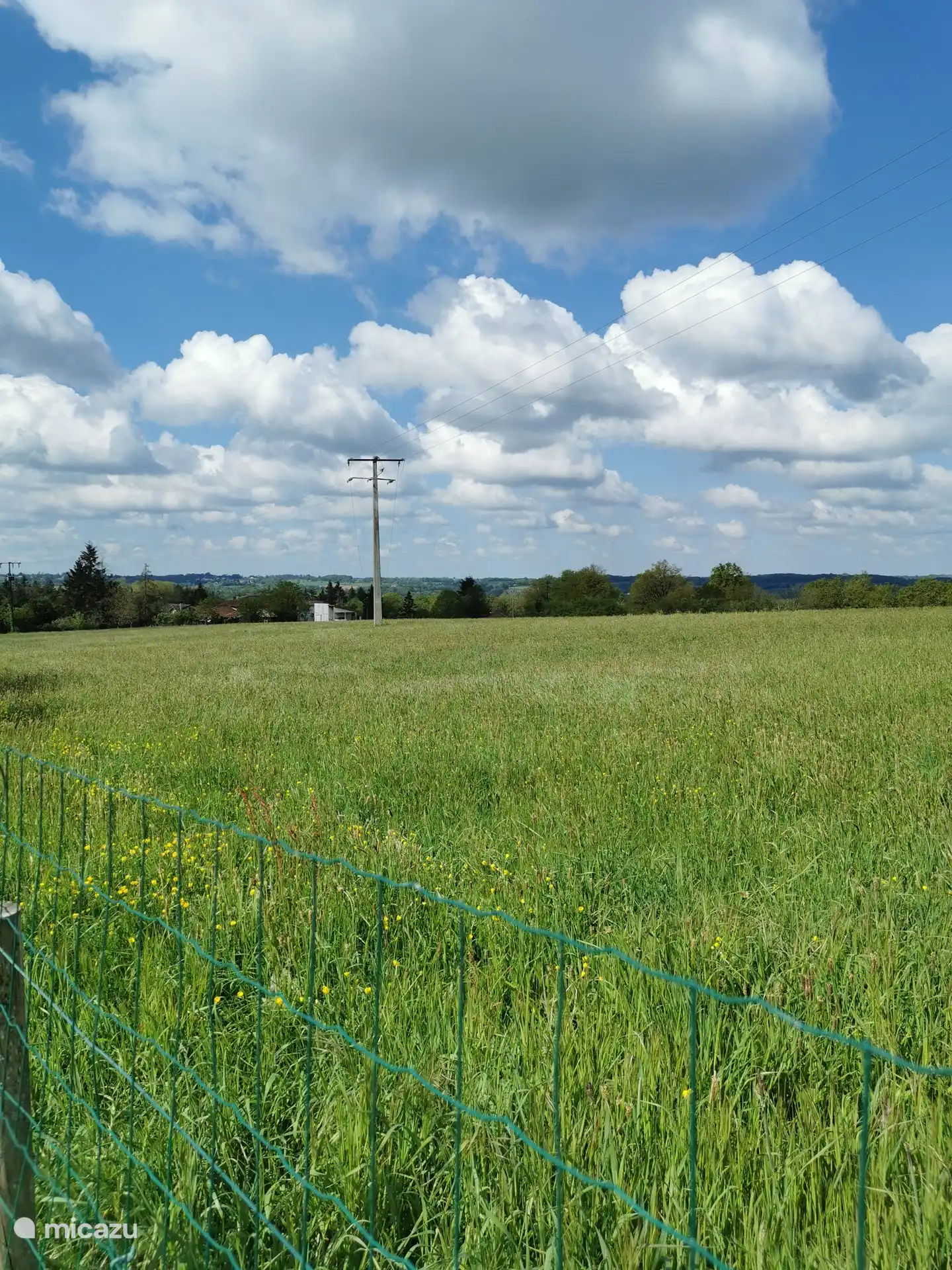 Blick auf den Hinterhof ,
Unser Garten ist komplett eingezäunt.