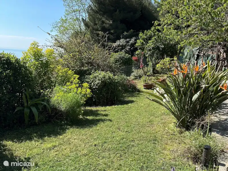 Maison familiale avec vue sur la mer | Italie, Ligurie, Ventimiglia - Maison de vacances Maison familiale avec vue sur la mer | Italie, Ligurie, Ventimiglia - Maison de vacances