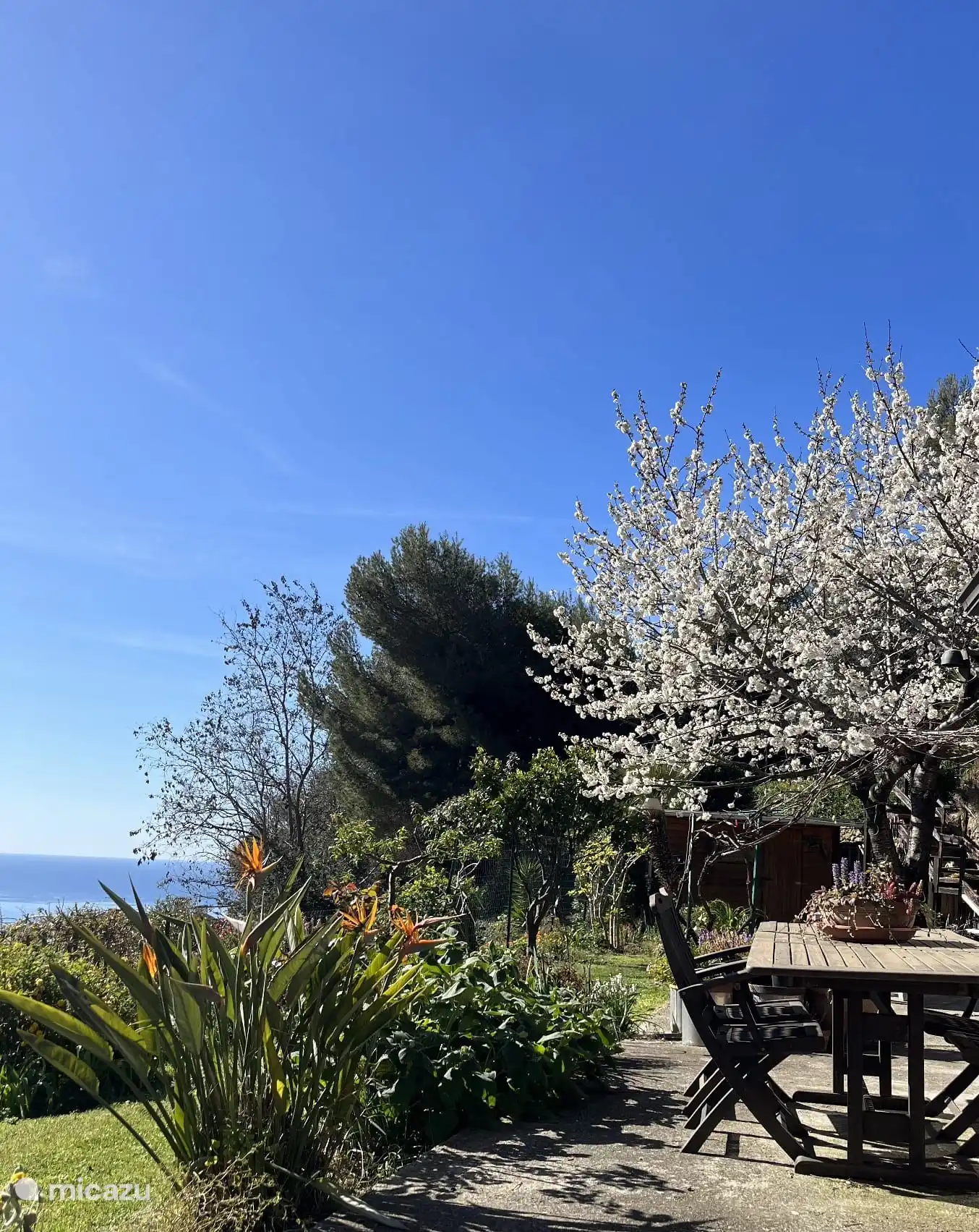 Terrasse im Frühling