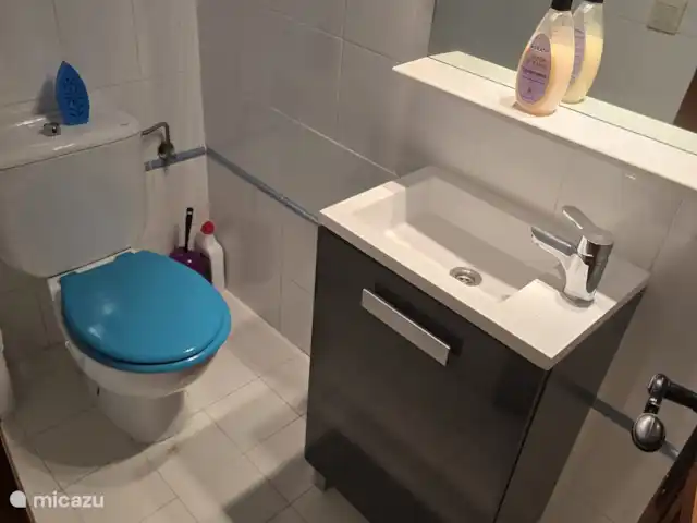 vakantiehuis huren in Spanje, Costa Blanca, Benidoleig – La Isabella Toilet beneden verdieping