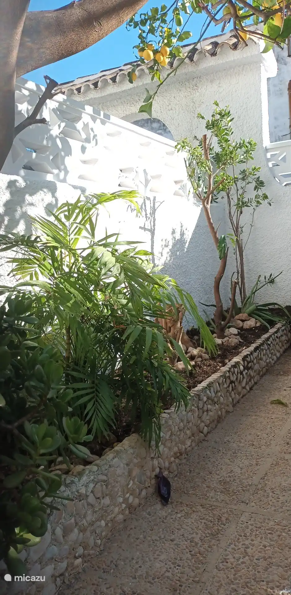 La Isabella  en España, Costa Blanca, Benidoleig - Casa vacacional