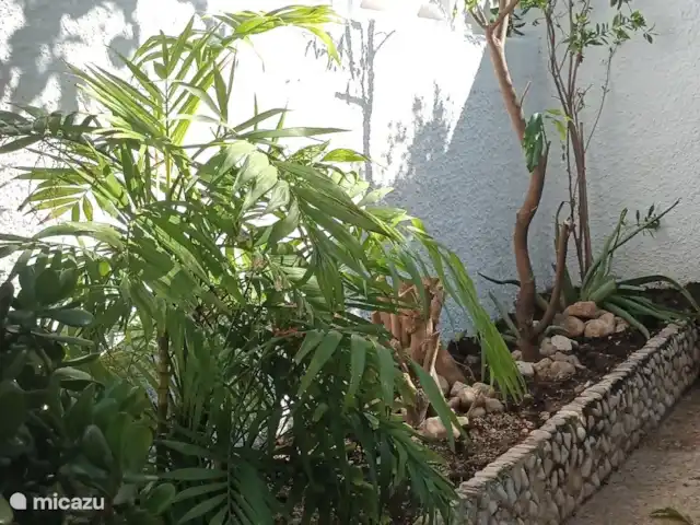 vakantiehuis huren in Spanje, Costa Blanca, Benidoleig – La Isabella Patio