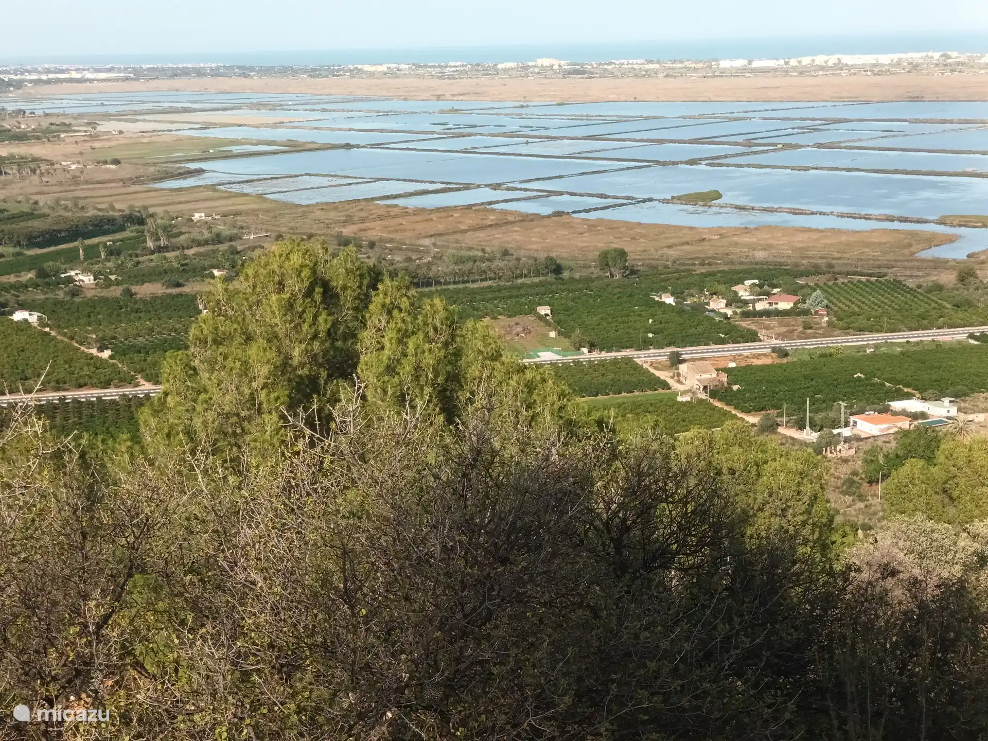 Vue Parc Naturel de la Marjal