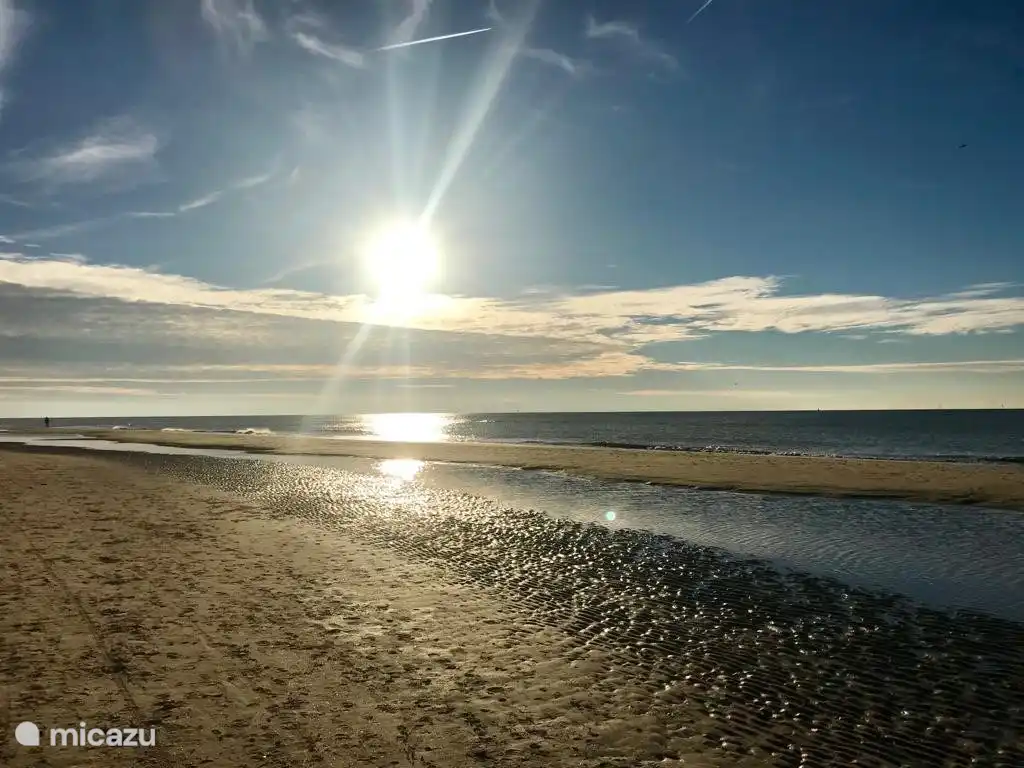 Das Haus befindet sich in der Nähe von Dünen und Strand.