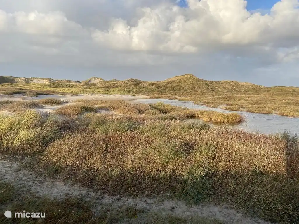 Das Haus befindet sich in der Nähe von Dünen und Strand.