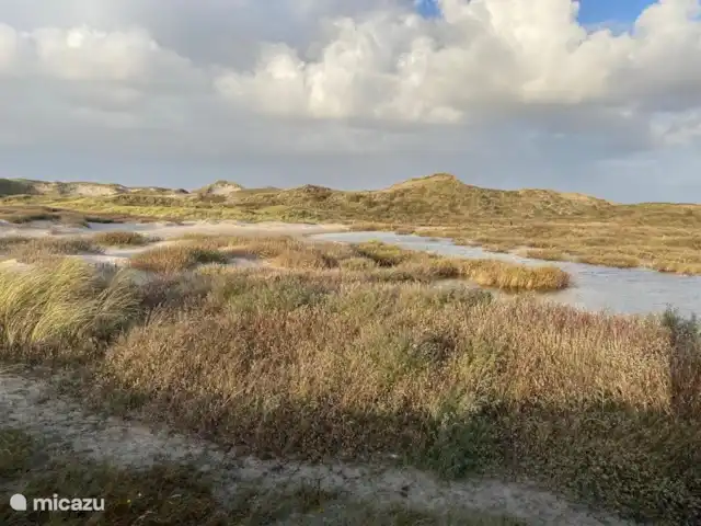 Plaisir ultime à Sint Maarten NH | Pays-Bas, Hollande du Nord, Saint Martin - maison de vacances La maison est située à proximité des dunes et de la plage.