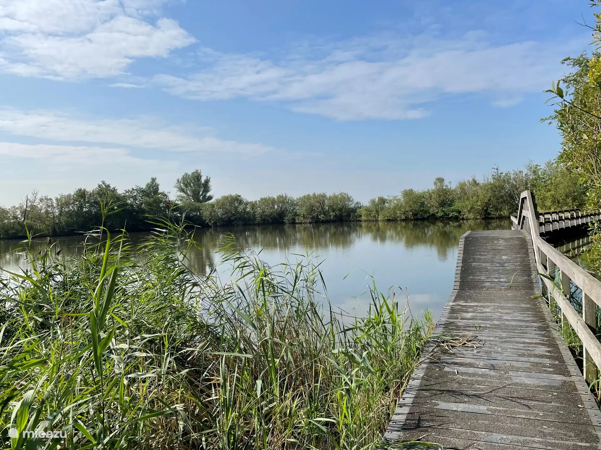 Ein kleiner See, der zum Ferienpark gehört.