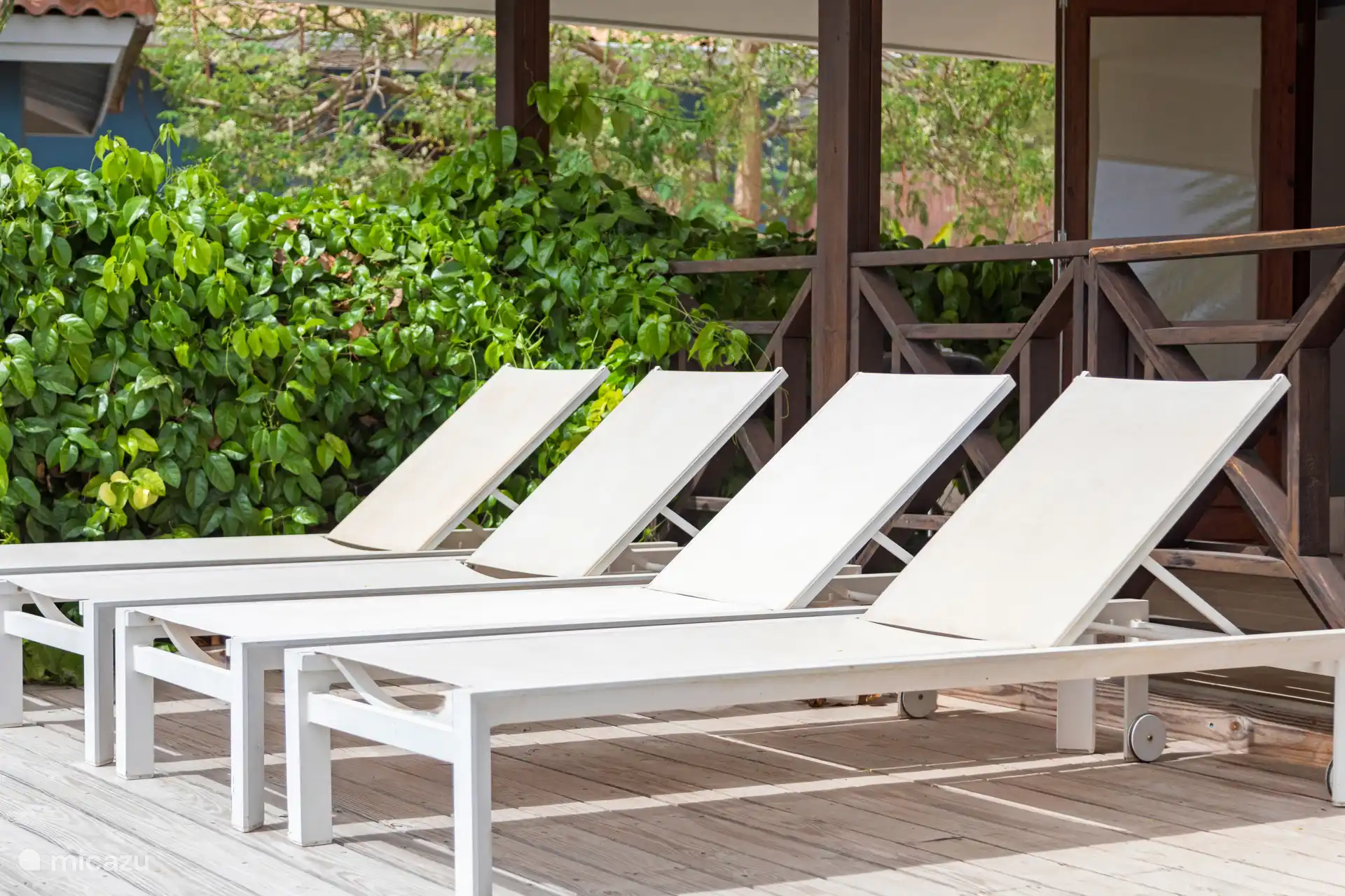 Comfortable sun loungers by the pool